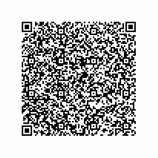 vCard 74132220199