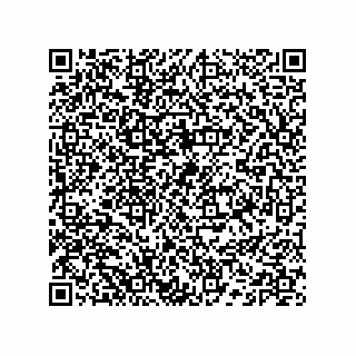 vCard 74132660331
