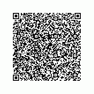 vCard 74132661600