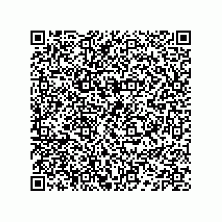vCard 74132661619
