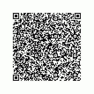 vCard 74132661621