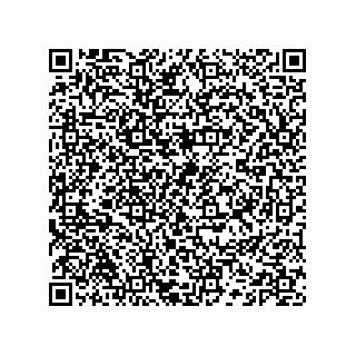 vCard 74132661632