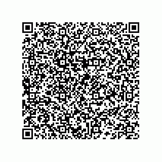 vCard 74132661636