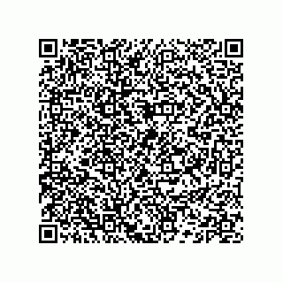 vCard 74132661677