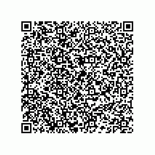 vCard 74132661678
