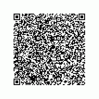 vCard 74132661679
