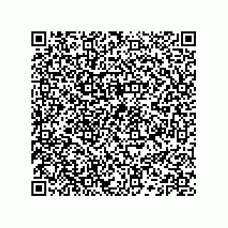 vCard 74132661681