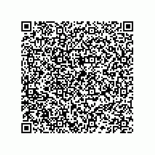 vCard 74132661682
