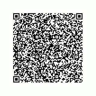 vCard 74132661684