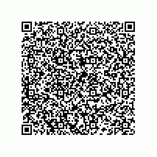 vCard 74132661685