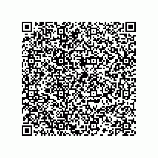 vCard 74132661687