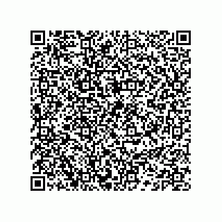 vCard 74132661688