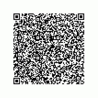 vCard 74132661689