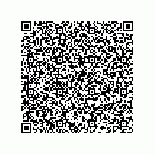 vCard 74132661699