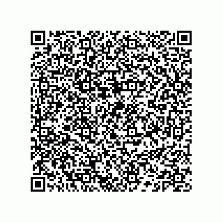 vCard 74132661707