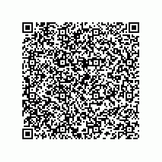 vCard 74132661729