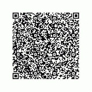 vCard 74132661732