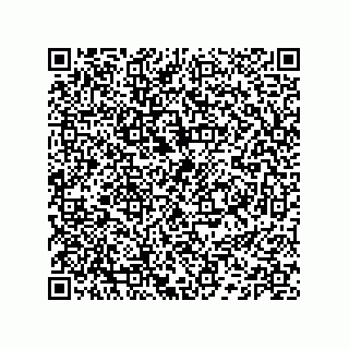 vCard 74132661737