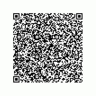 vCard 74132661740