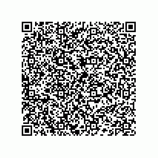 vCard 74132661775