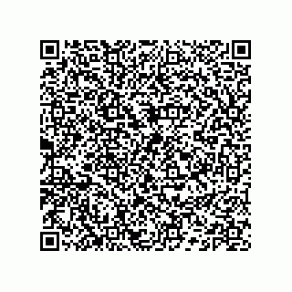 vCard 74132661778