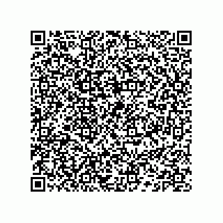 vCard 74132661781