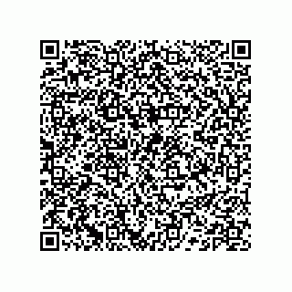 vCard 74132661809