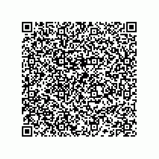 vCard 74132661811