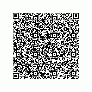 vCard 74132661818