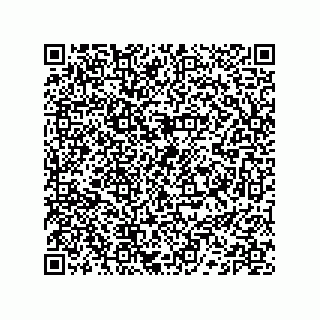 vCard 74132661857