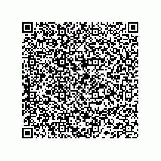 vCard 74132661876