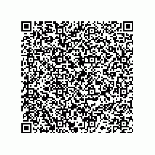 vCard 74132661878