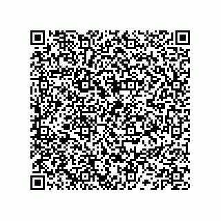 vCard 74132661879