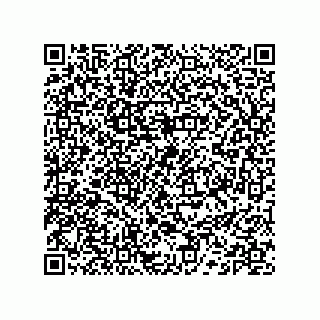 vCard 74132661881