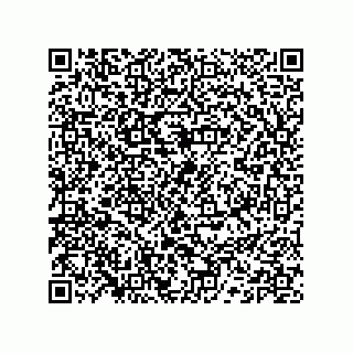 vCard 74132661888