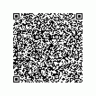 vCard 74132661889