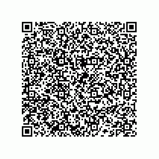 vCard 74132661899