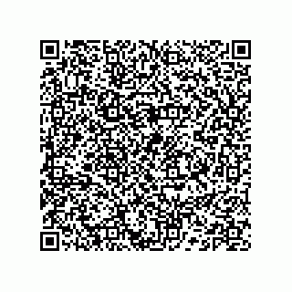 vCard 74132661900