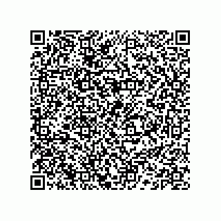 vCard 74132661904