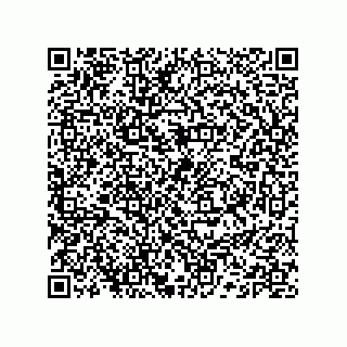vCard 74132661905