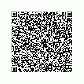 vCard 74132661919