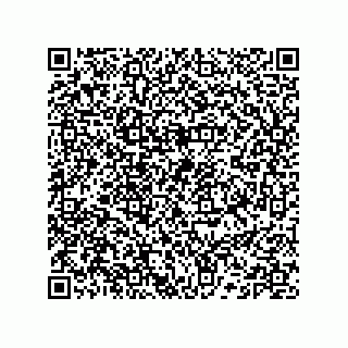 vCard 74132661981
