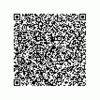 vCard 74132661998