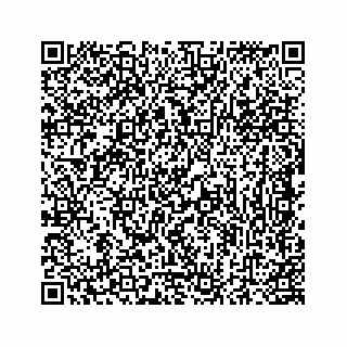 vCard 74134793333
