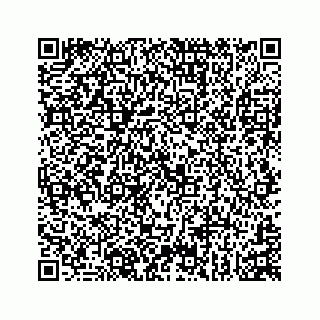 vCard 74152309133