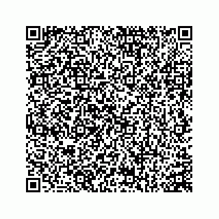 vCard 74152417381