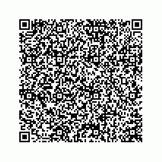 vCard 74152419881