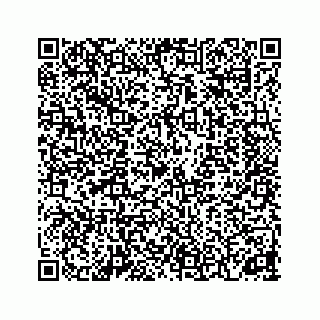 vCard 74153424210