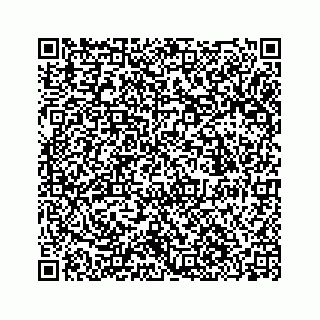 vCard 74153424381