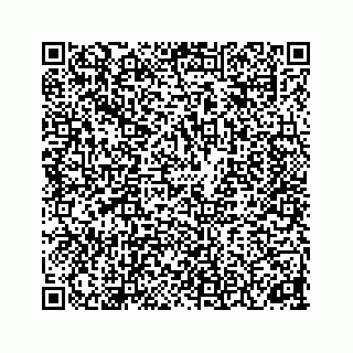 vCard 74153425311